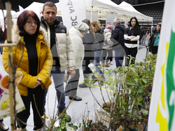 Русе - „Дунавски овощари“- изложение