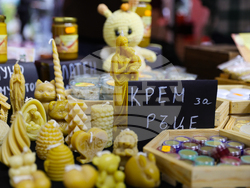 Русе - „Дунавски овощари“- изложение