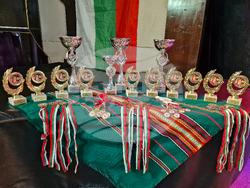 Търговище - „Мисионис пее и танцува“ - фолклорен фестивал