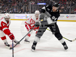 Red Wings Kings Hockey