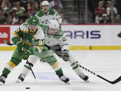 Stars Wild Hockey