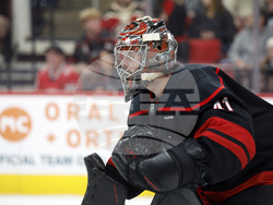 Senators Hurricanes Hockey