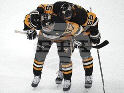 Sharks Penguins Hockey