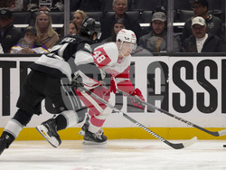Red Wings Kings Hockey