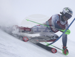 Finland Alpine Skiing World Cup