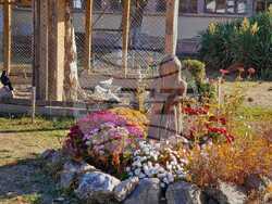 В двора на манастира се отглеждат животни