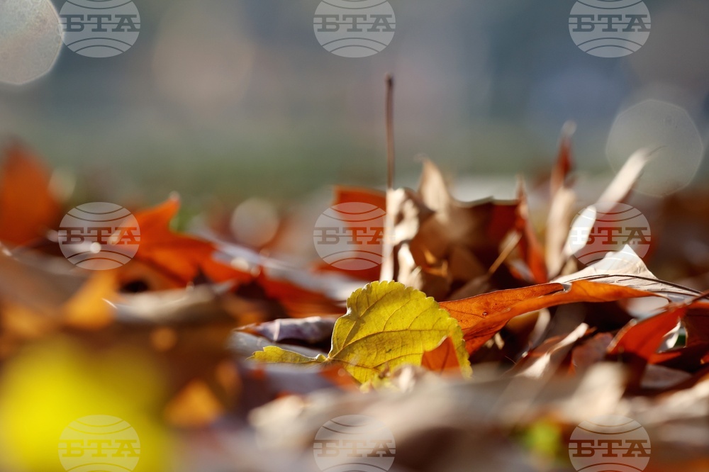 Есен - ежедневие