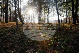 Есен - ежедневие