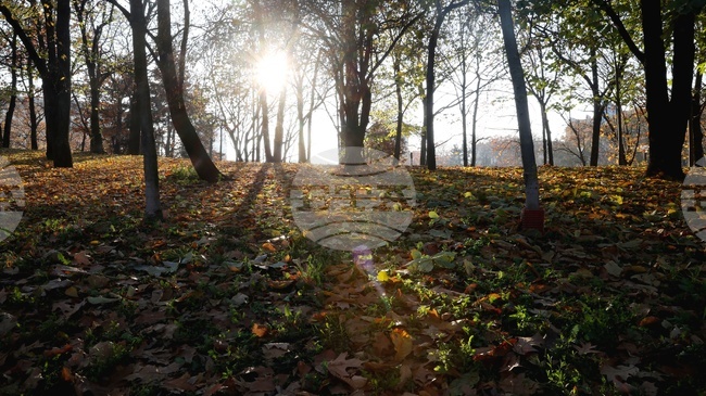 Прогноза за времето 
