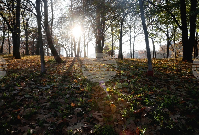 The Weather on November 25