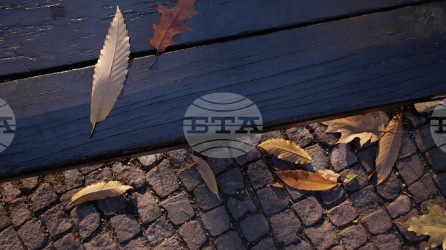 Прогноза за времето