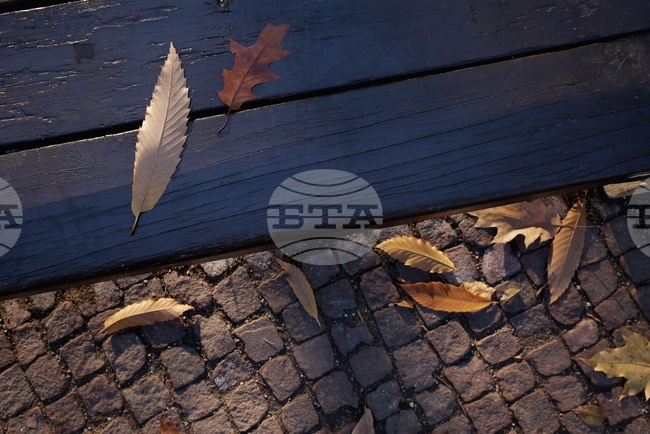 Прогноза за времето