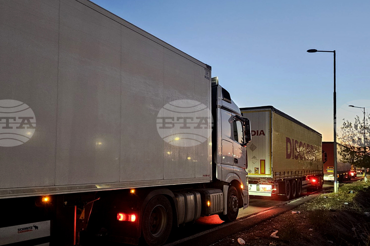 Turkish Lorry Drivers Protest against Long Waiting Times at Kapikule Border Crossing with Bulgaria