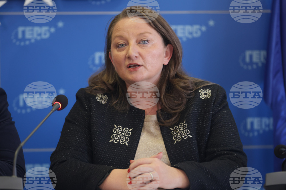 ГЕРБ - брифинг