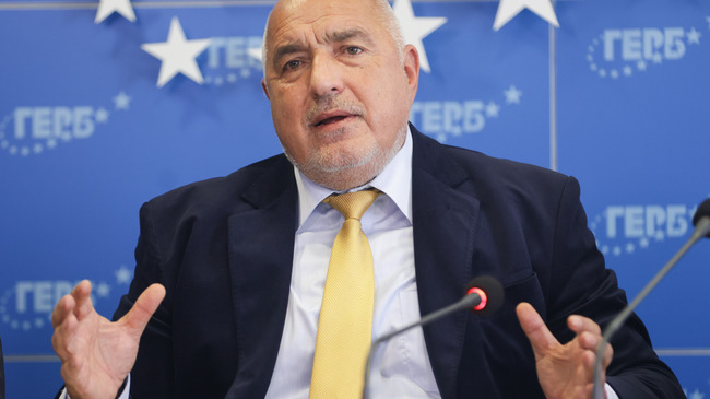 Parliament Should Not Even Consider Referendum Proposal on Euro, GERB Leader Says