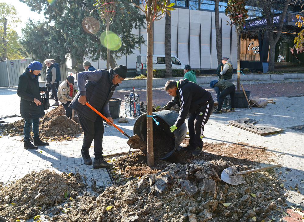 Община Варна: Започна засаждането на нови дървета в централната част на Варна