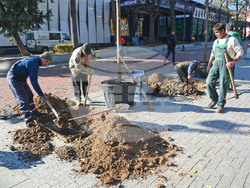 Снимка: Община Варна