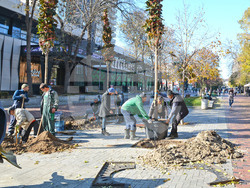 Снимка: Община Варна