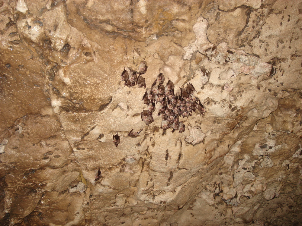 Шумен - пещера "Бисерна"