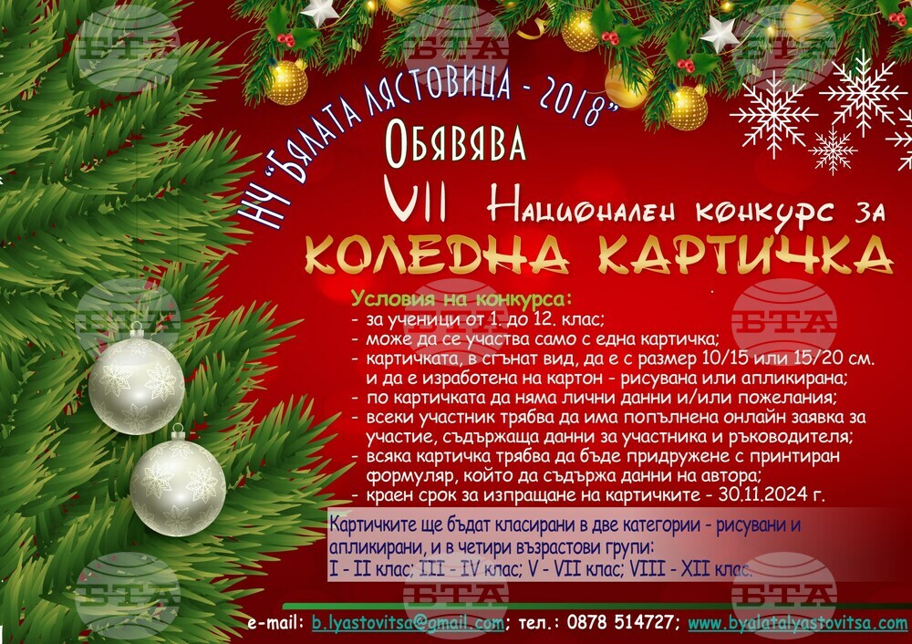 Читалище "Бялата лястовица-2018 г." в Дулово обяви конкурс за изработка на коледни картички