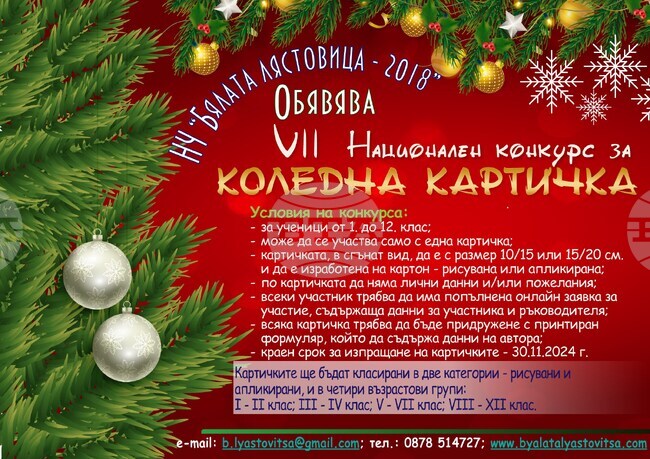 Читалище "Бялата лястовица-2018 г." в Дулово обяви конкурс за изработка на коледни картички
