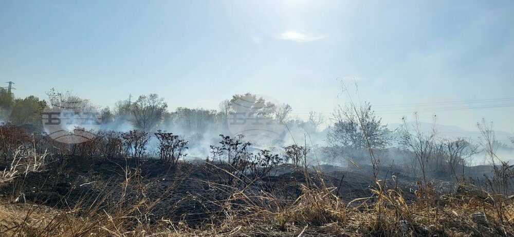 РИОСВ в Пловдив преустанови измерванията за качеството на въздуха в село Катуница