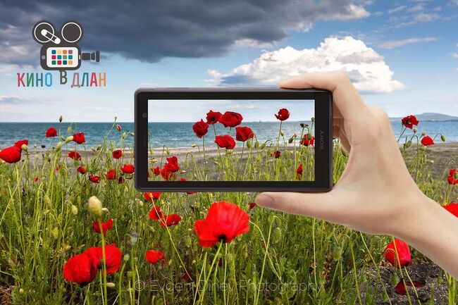 A Movie in Hand Festival Award Ceremony to Be Held on November 30 in Shumen