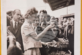 Румъния - Изложба с изображения и статии от архива на Общинския музей в Букурещ разказва историята на пазара Обор в Букурещ