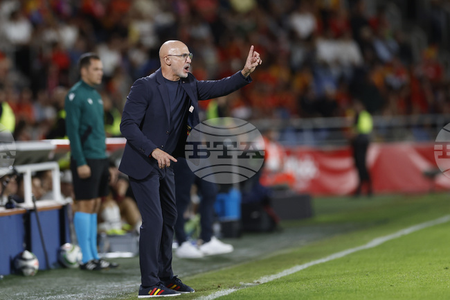 Селекционерът на националния тим на Испания Луис де ла Фуенте: "Имаме добро настояще и чудесно бъдеще"