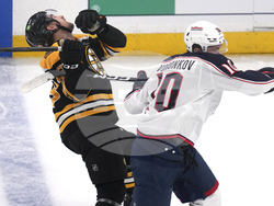 Blue Jackets Bruins Hockey