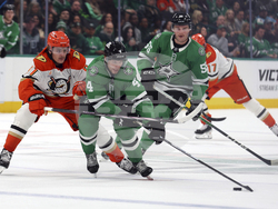 Ducks Stars Hockey