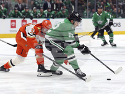 Ducks Stars Hockey