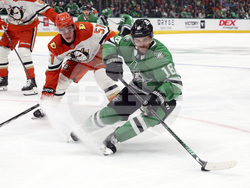 Ducks Stars Hockey