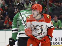 Ducks Stars Hockey