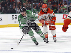 Ducks Stars Hockey