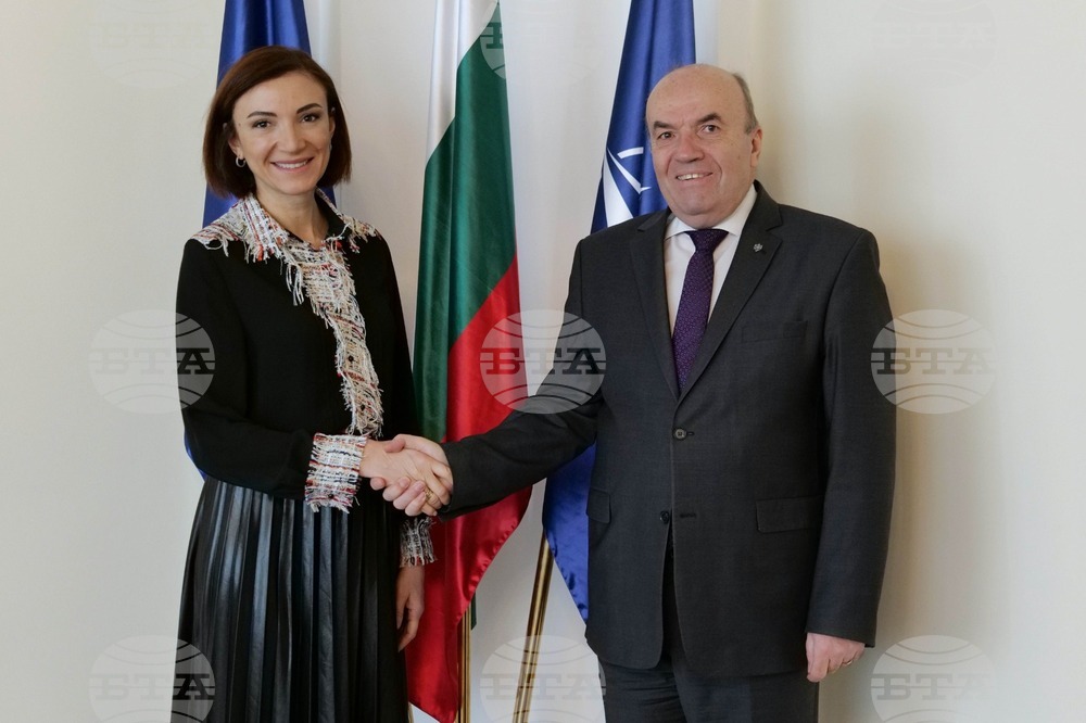 Foreign Minister Milkov Receives Georgian Ambassador Liluashvili