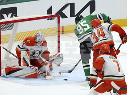 Ducks Stars Hockey