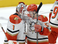 Ducks Stars Hockey