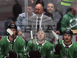 Ducks Stars Hockey