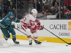 Red Wings Sharks Hockey