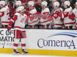 Red Wings Sharks Hockey