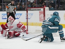 Red Wings Sharks Hockey