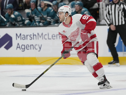 Red Wings Sharks Hockey
