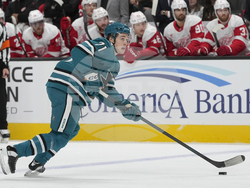 Red Wings Sharks Hockey