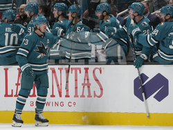 Red Wings Sharks Hockey