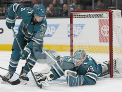 Red Wings Sharks Hockey