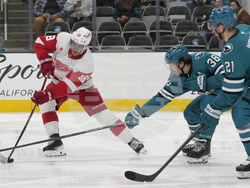 Red Wings Sharks Hockey