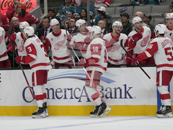 Red Wings Sharks Hockey