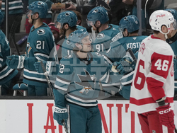 Red Wings Sharks Hockey