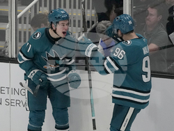 Red Wings Sharks Hockey